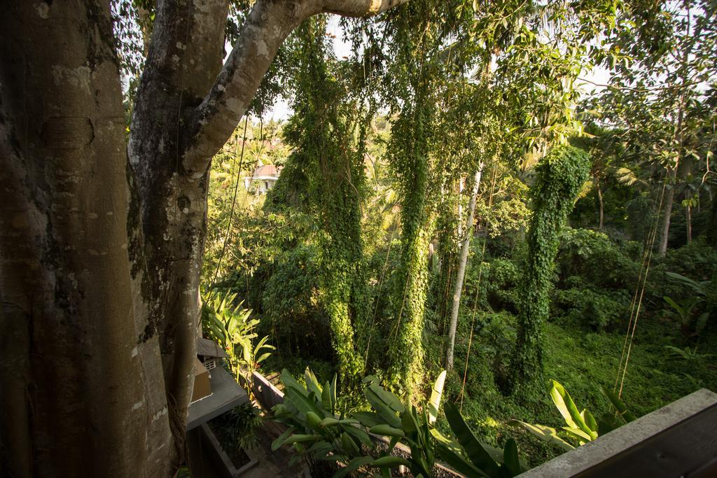 Labak River Hotel By Eps Ubud Exterior foto
